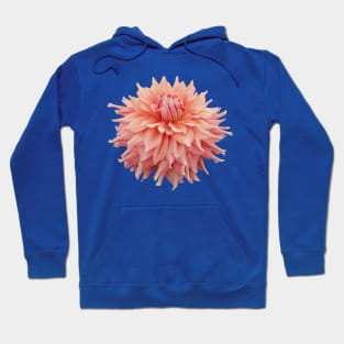 Salmon Pink Ball Dahlia Floral Photo Cutout Hoodie